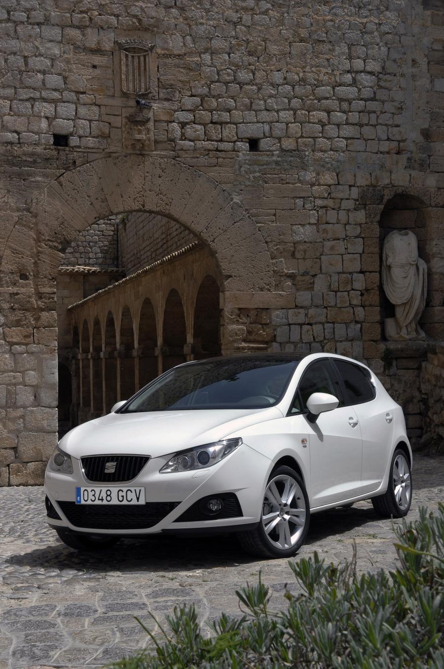  Seat Ibiza 2008 года  (фото 185 из 287)